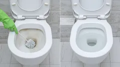 Porovnání znečištěné a vyčištěné toalety, čištění WC kartáčem.