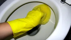 Tento prostředek zachrání vaši toaletu před žlutými pruhy: má ho každý