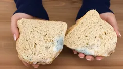 Váš chléb plesniví během jednoho dne? Jednoduchá rada, která opravdu pomůže
